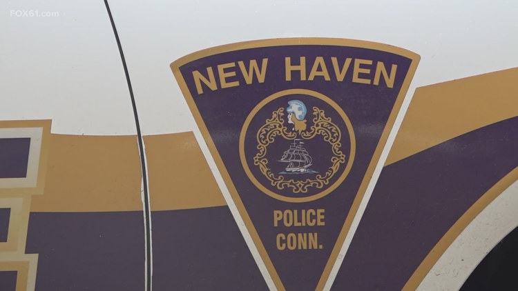 New Haven man dies after struck by vehicle: Police